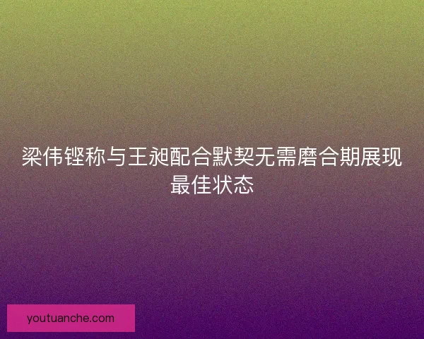 梁伟铿称与王昶配合默契无需磨合期展现最佳状态