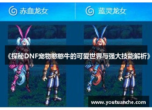 《探秘DNF宠物憨憨牛的可爱世界与强大技能解析》