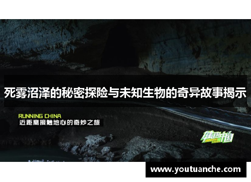 死雾沼泽的秘密探险与未知生物的奇异故事揭示